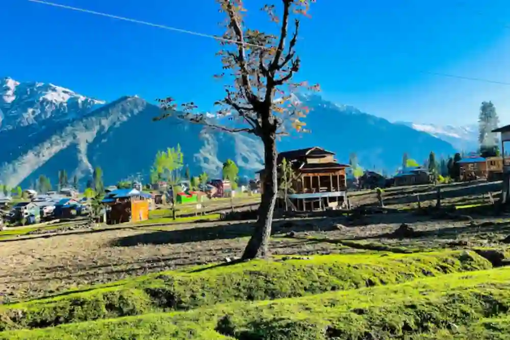 Druk Air Bumthang Office in Bhutan