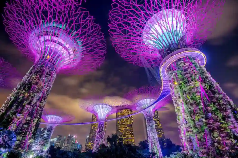 Druk Air Singapore Office